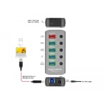 DELOCK USB hub 63263 με διακόπτες, 6x θυρών, 5Gbps, 12V/2.25A PD, γκρι - Image 2