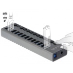 DELOCK USB hub 63738 με διακόπτες, 13x θυρών, 5Gbps, γκρι - Image 2
