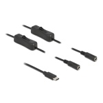 DELOCK καλώδιο USB Type-C σε 2x DC 5.5 x 2.1mm 86800, 1m, μαύρο - Image 2