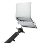 BRATECK βάση laptop NBH-6E για βάση οθονών, VESA 75x75, 11.6-17.3", γκρι - Image 4