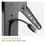 POWERTECH επιτραπέζια βάση τηλεόρασης PT-1281, 23-55", έως 40kg - Image 4