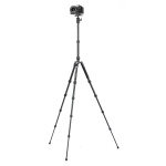 FOTOPRO τρίποδο φωτογράφισης X-go Gecko E2, πτυσσόμενο έως 146.1cm, έως 8kg, μαύρο - Image 2