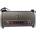 Επαναφορτιζόμενο ραδιόφωνο - M523BT - 865253 - Image 2