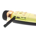 Ασύρματο μικρόφωνο Karaoke με ηχείο - WS-2011 - 883686 - Green - Image 2