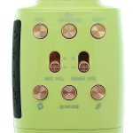 Ασύρματο μικρόφωνο Karaoke με ηχείο - WS-2011 - 883686 - Green - Image 3