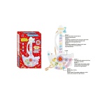 Παιδική εκπαιδευτική κιθάρα - 969-6 - 959637 - Image 3